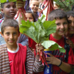 The children are holding spinach that they harvested from their school garden.