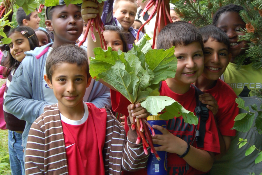 The children are holding spinach that they harvested from their school garden.